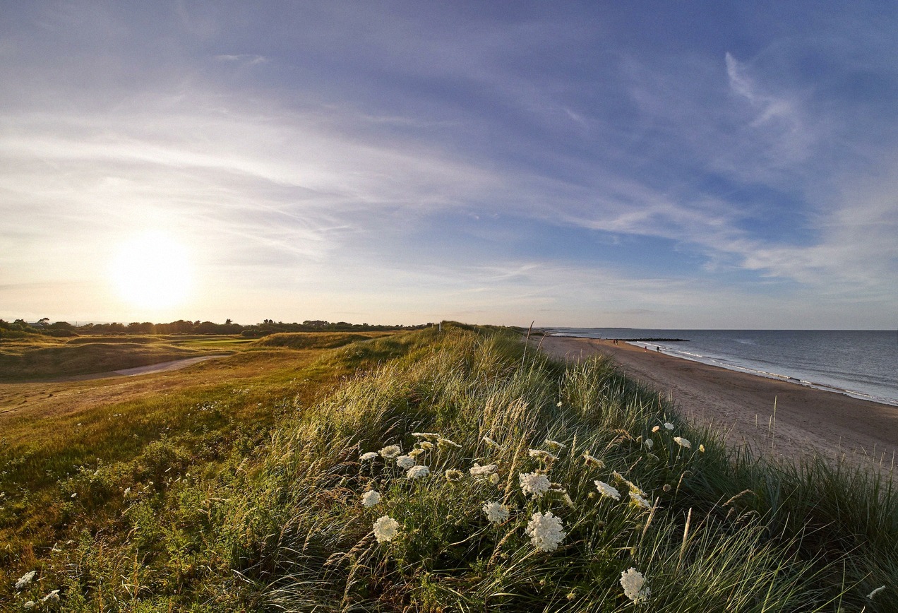 Rosslare Strand: the beach and dunes a few kilometres north of the ferry port.